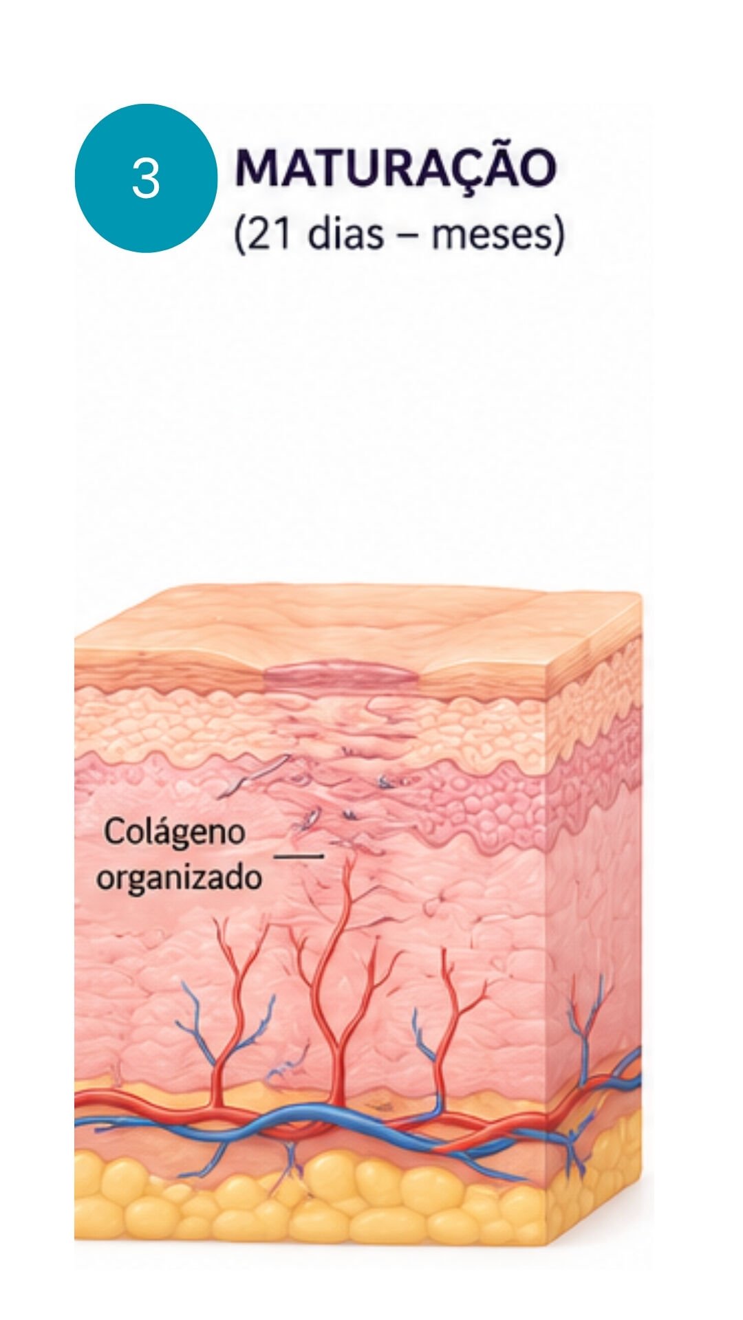 10dfc9e9_33.jpg
